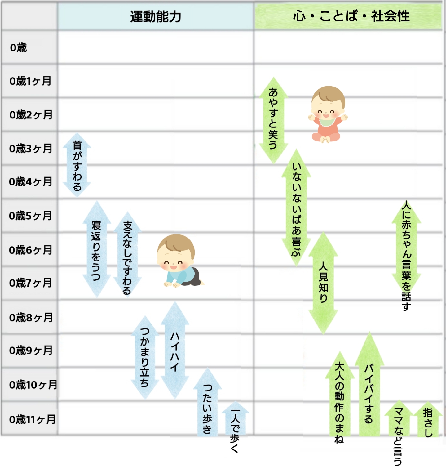 1歳までの発育・発達の目安です。